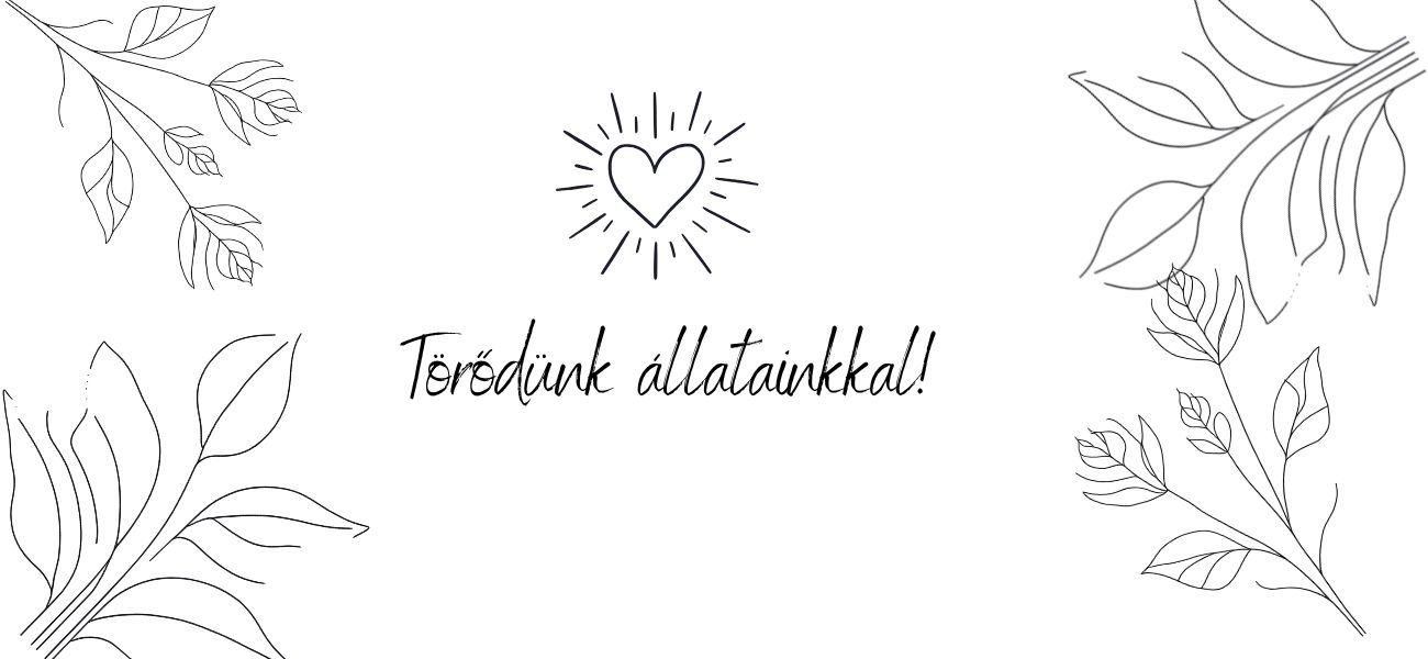 TÁMOGATÁSOK!<3